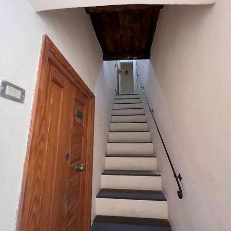 Suite Minerva 10 Steps From Piazza Civica Alghero Eksteriør bilde